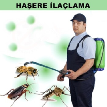 Derik Böcek İlaçlama
